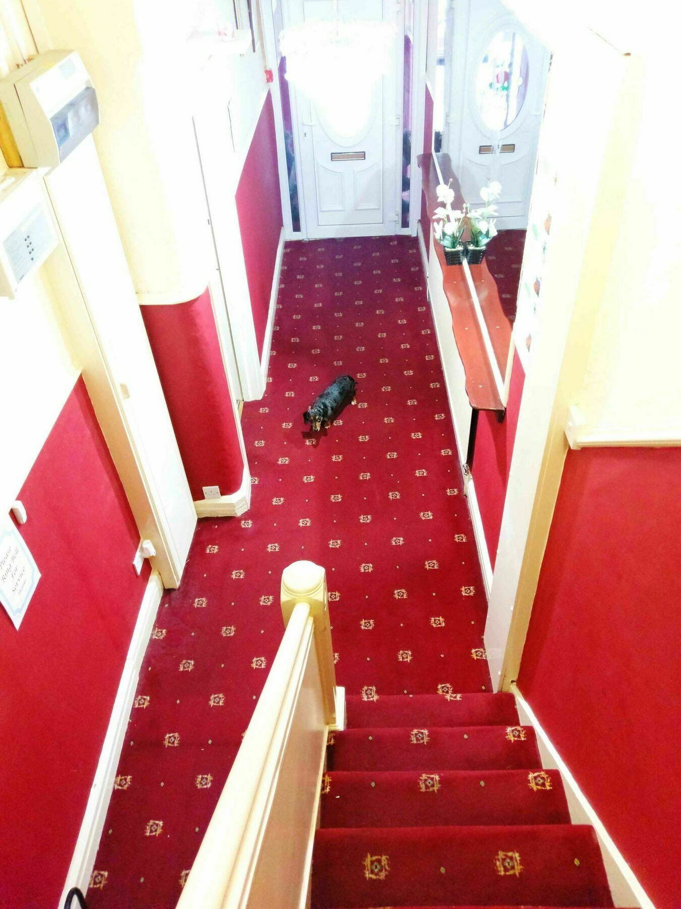 ブラックプール Ringbane House Bed & Breakfast エクステリア 写真